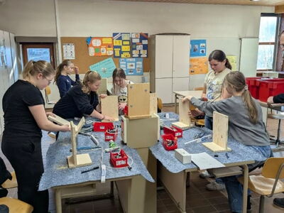 Eine Gruppe Schüler baut Teile aus Holz zusammen