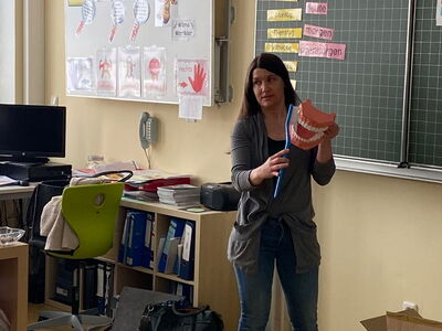 Frau Riedl steht vor der Klasse mit einem Gebissmodel