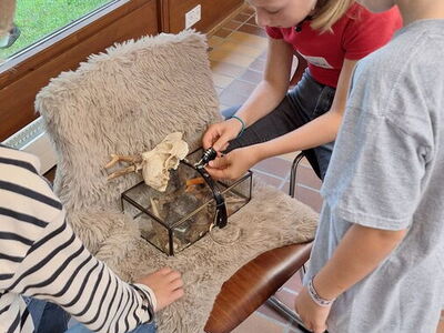 Eine Schülerin öffnet das Zahlenschloss einer gefüllten Glasbox